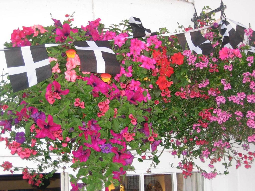 The Edgcumbe Arms Bed & Breakfast Torpoint Exterior photo